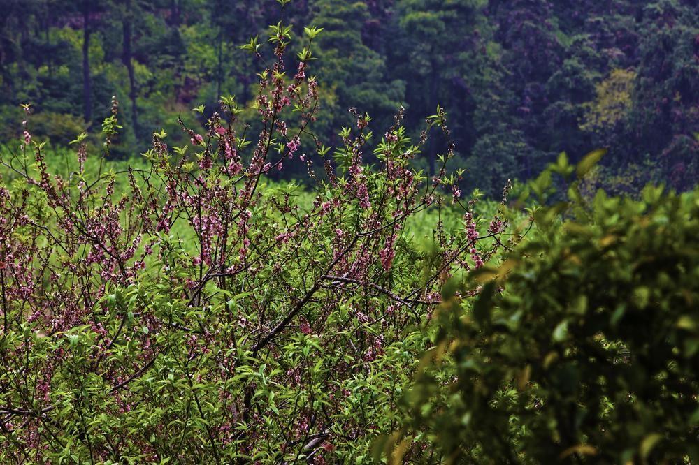 Aloft Nanhai, Foshan Dış mekan fotoğraf